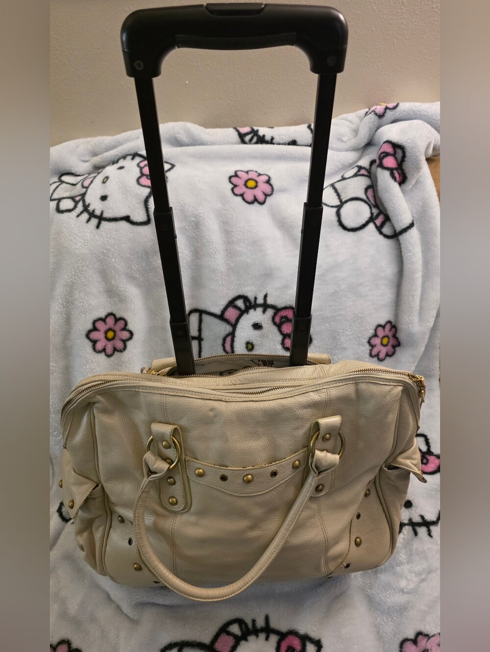 Rare Gogo Voyage Leather 2 Wheel Carry-On Travel Bag